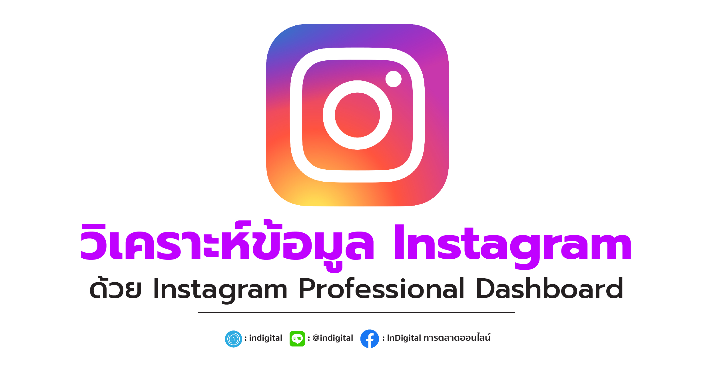 วิเคราะห์ข้อมูล Instagram ด้วย Instagram Professional Dashboard