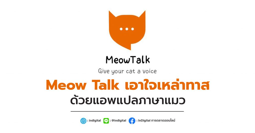 MeowTalk เอาใจเหล่าทาส ด้วยแอพแปลภาษาแมว