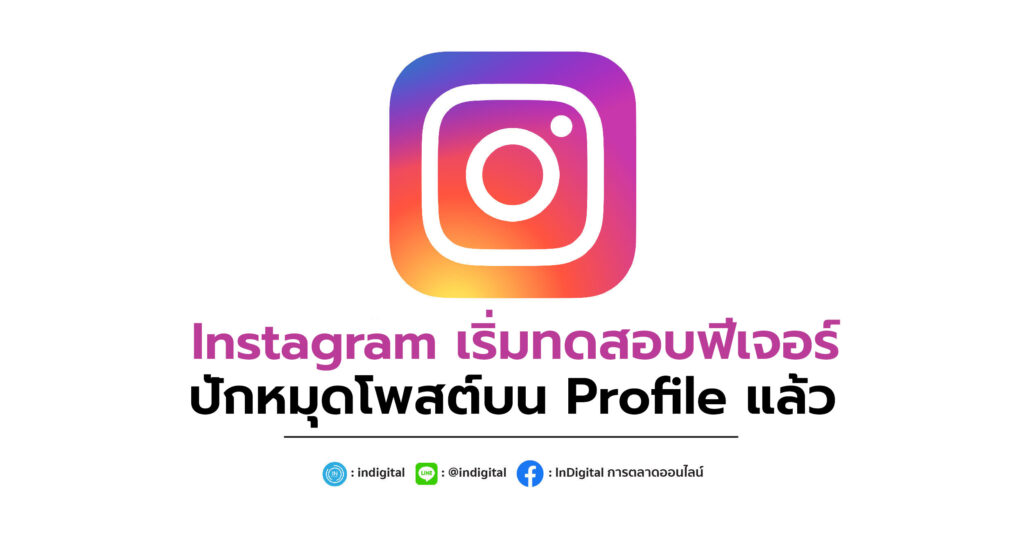 Instagram เริ่มทดสอบฟีเจอร์ปักหมุดโพสต์บน Profile แล้ว